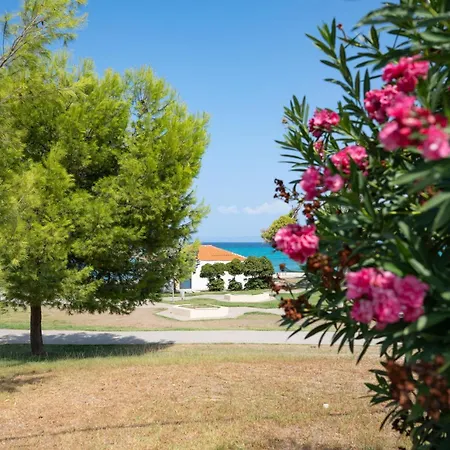 Sunny Pende Chanioti