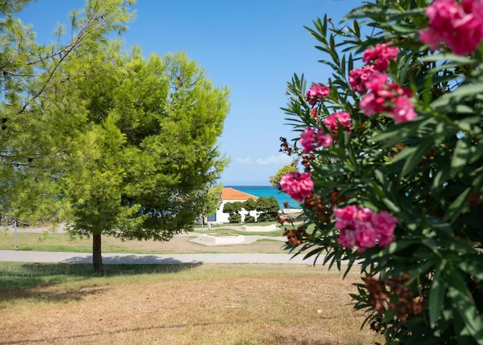 Sunny Pende Chaniotis